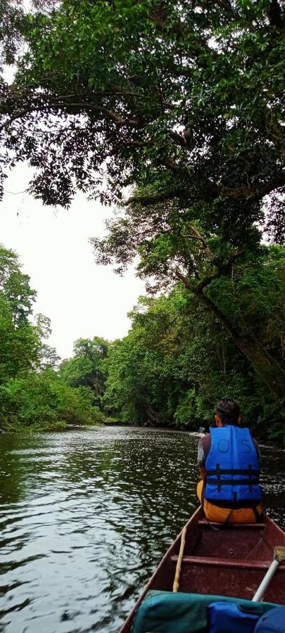 كُوالا تاهان Belebar Studio Room Taman Negara Pahang Malaysia المظهر الخارجي الصورة