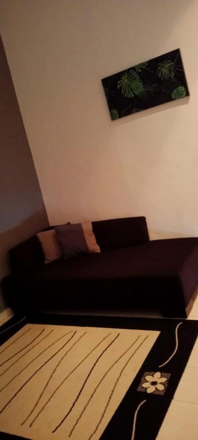 كُوالا تاهان Belebar Studio Room Taman Negara Pahang Malaysia المظهر الخارجي الصورة